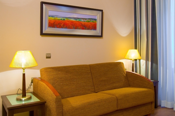 Hotel Suites Gran Via 44